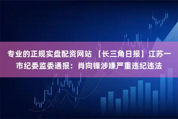 专业的正规实盘配资网站 【长三角日报】江苏一市纪委监委通报：肖向锋涉嫌严重违纪违法