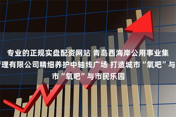 专业的正规实盘配资网站 青岛西海岸公用事业集团市政管理有限公司精细养护中轴线广场 打造城市“氧吧”与市民乐园